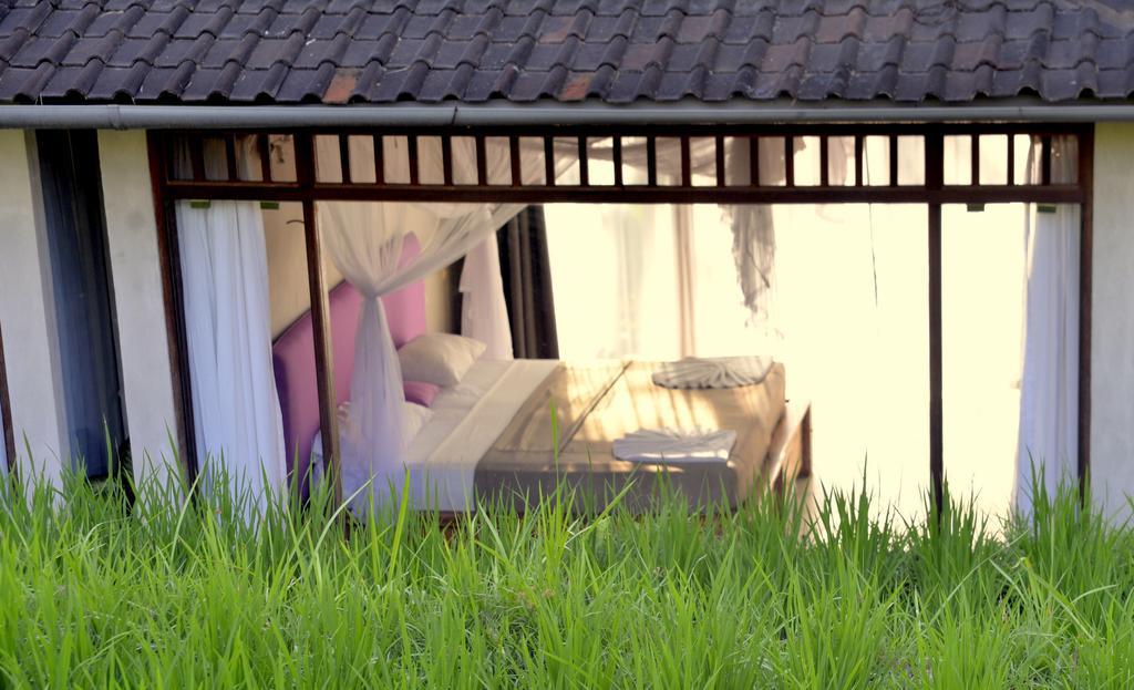 ホテル プラシャンティ バリ ウブド 部屋 写真